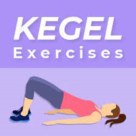 تعمل تمارين كيجل على تقوية العضلات الداعمة للمثانة والرحم والأمعاء 